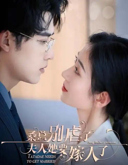 爱情短剧《闪婚之后我成了首富夫人》海报